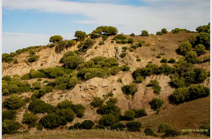 losalcornocales47