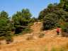 alfaguarilla10