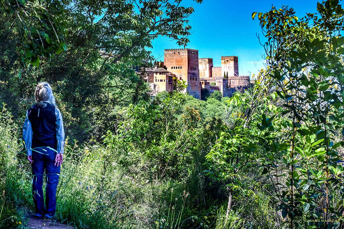 La alhambra desde la subida del Alarife