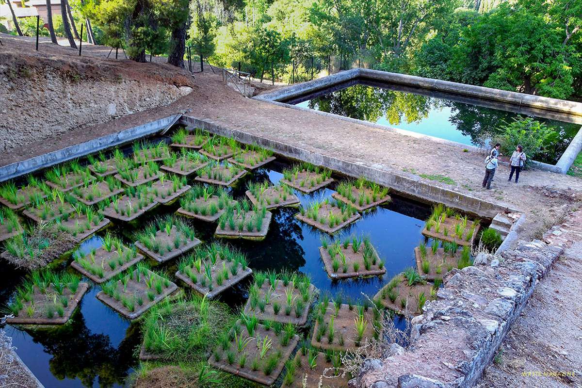 Albercones de la Alhambra