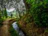 Acequia Real