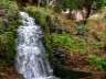 Acequia Real