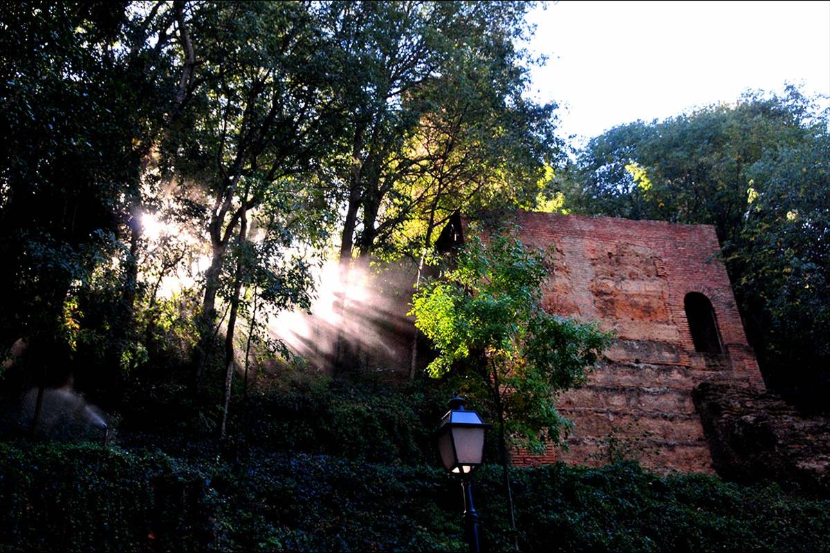 Alhambra-bosque36