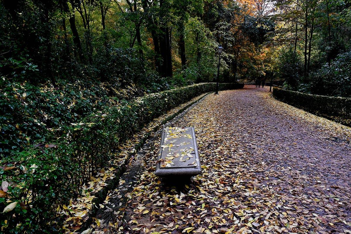 Alhambra-bosque39