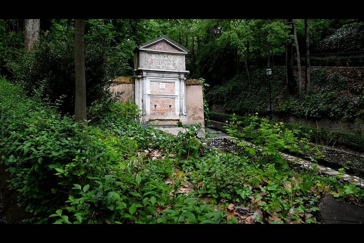 Alhambra-bosque42