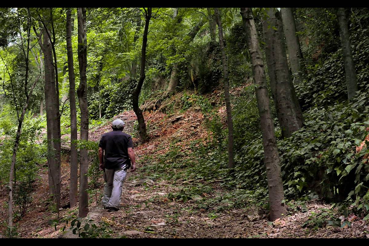 Alhambra-bosque48