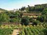 huertasgeneralife3