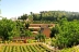Parador-San-Francisco-alhambra-05