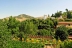 Parador-San-Francisco-alhambra-06