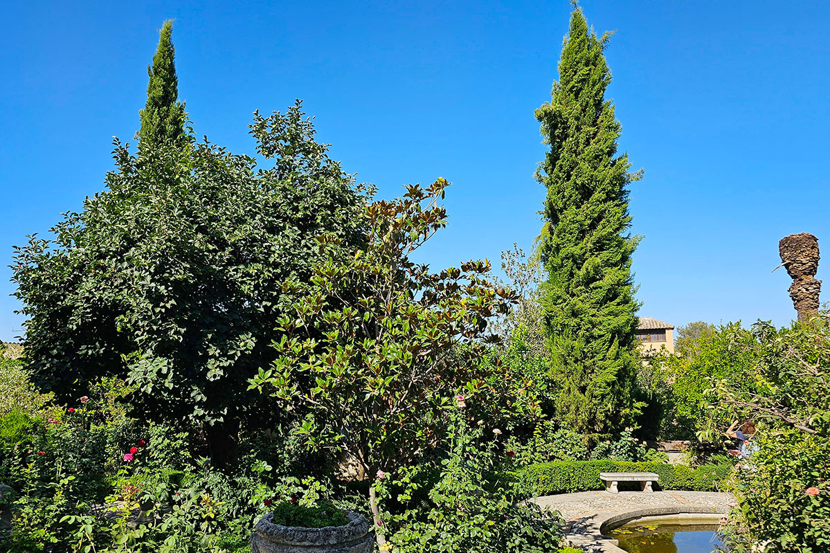 aljibedelreyjardin13