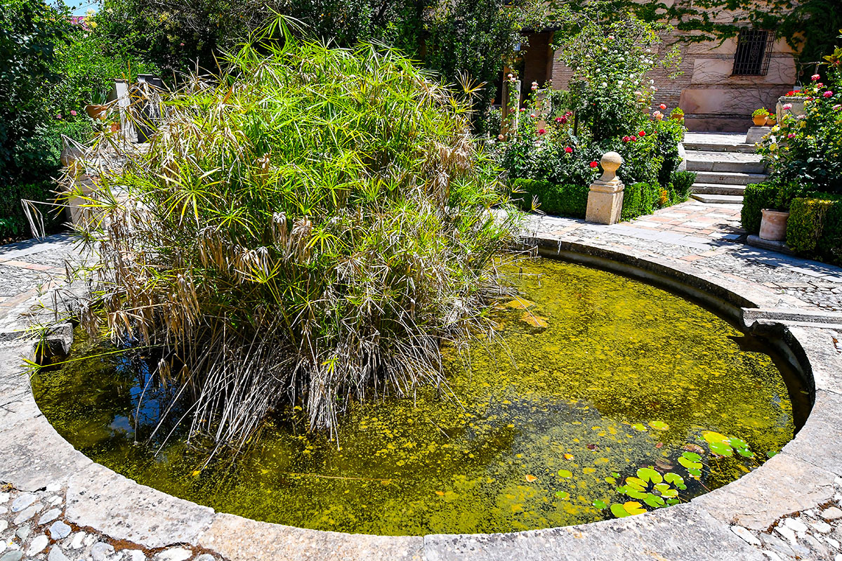aljibedelreyjardin2