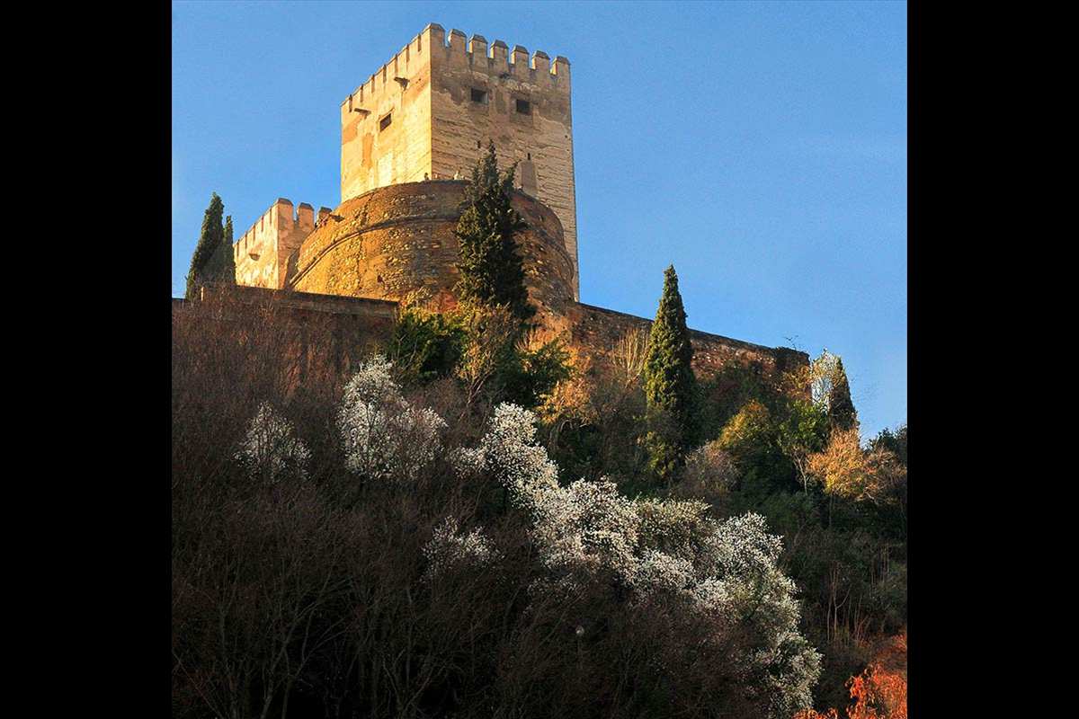 almendros-alhambra2