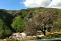 almendros83