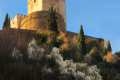 almendros-alhambra2