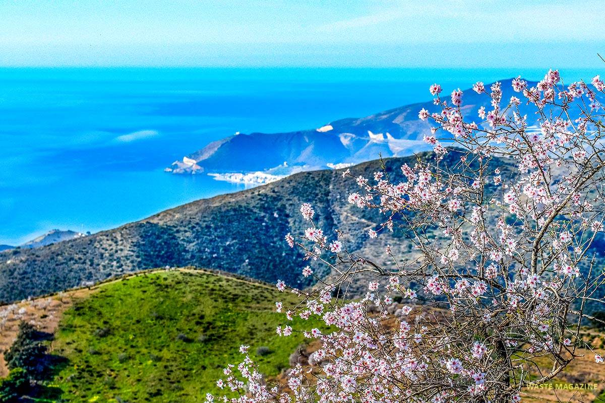 Almendros, cerro del Gato, costa de Granada