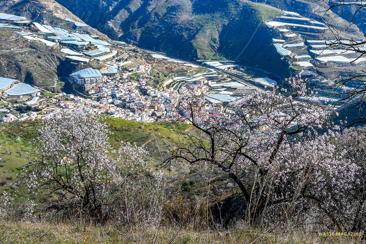 Almendros, cerro del Gato, Albuñol