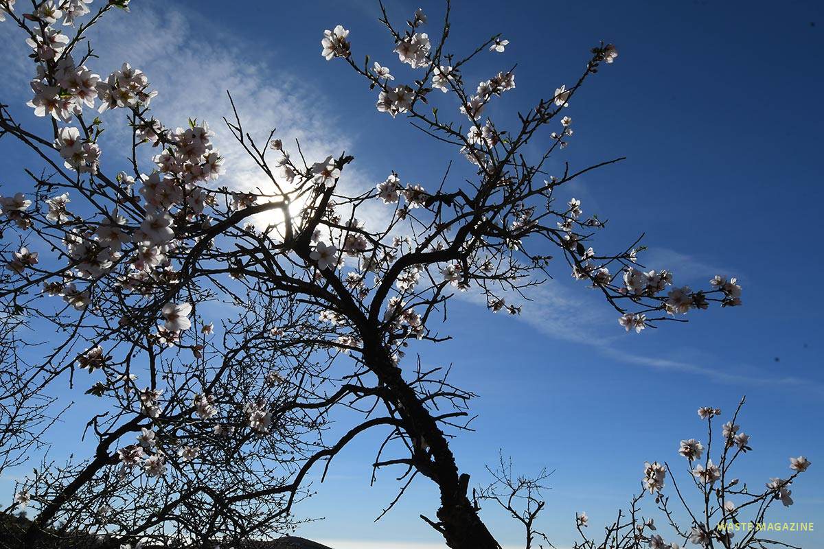 Almendros, la Contraviesa, cerro del Gato
