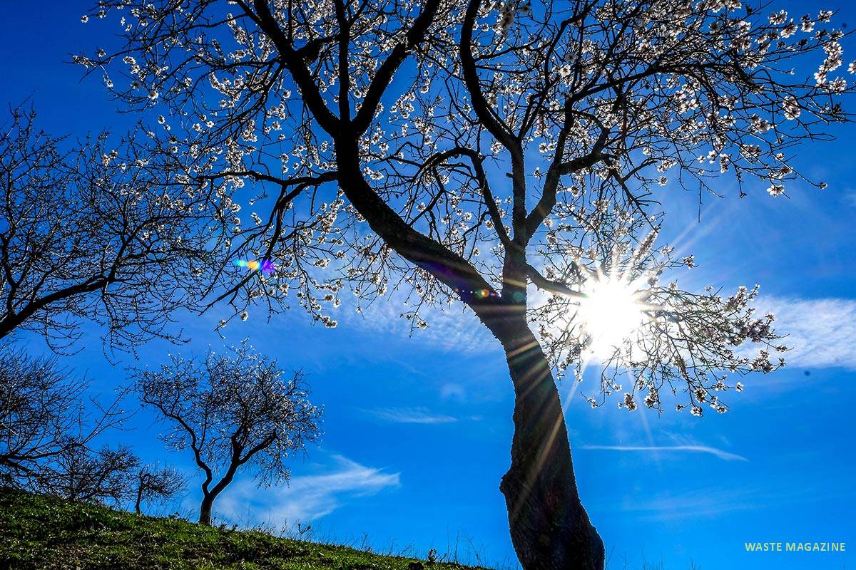 Almendros, cerro del Gato