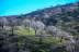 Almendros, la Contraviesa, cerro del Gato