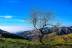 Almendros, cerro del Gato, costa de Granada