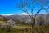 Almendros, la Contraviesa, al fondo el Mulhacén