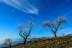 Almendros, cerro del Gato