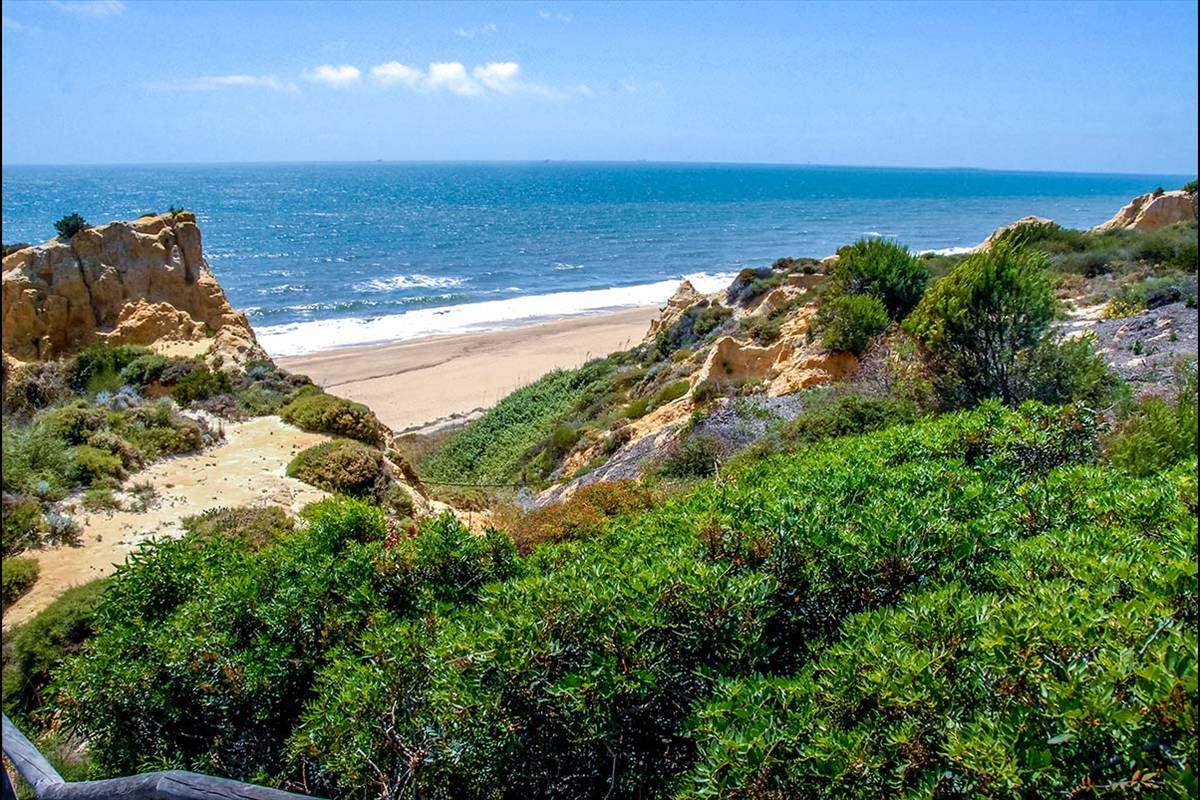 Acantilados de arena en las playas de Mazagón * Huelva