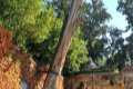 Arbol de la Sultana y Abencerrajes