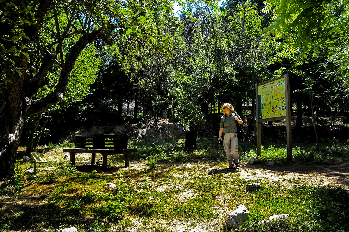 arboretum02