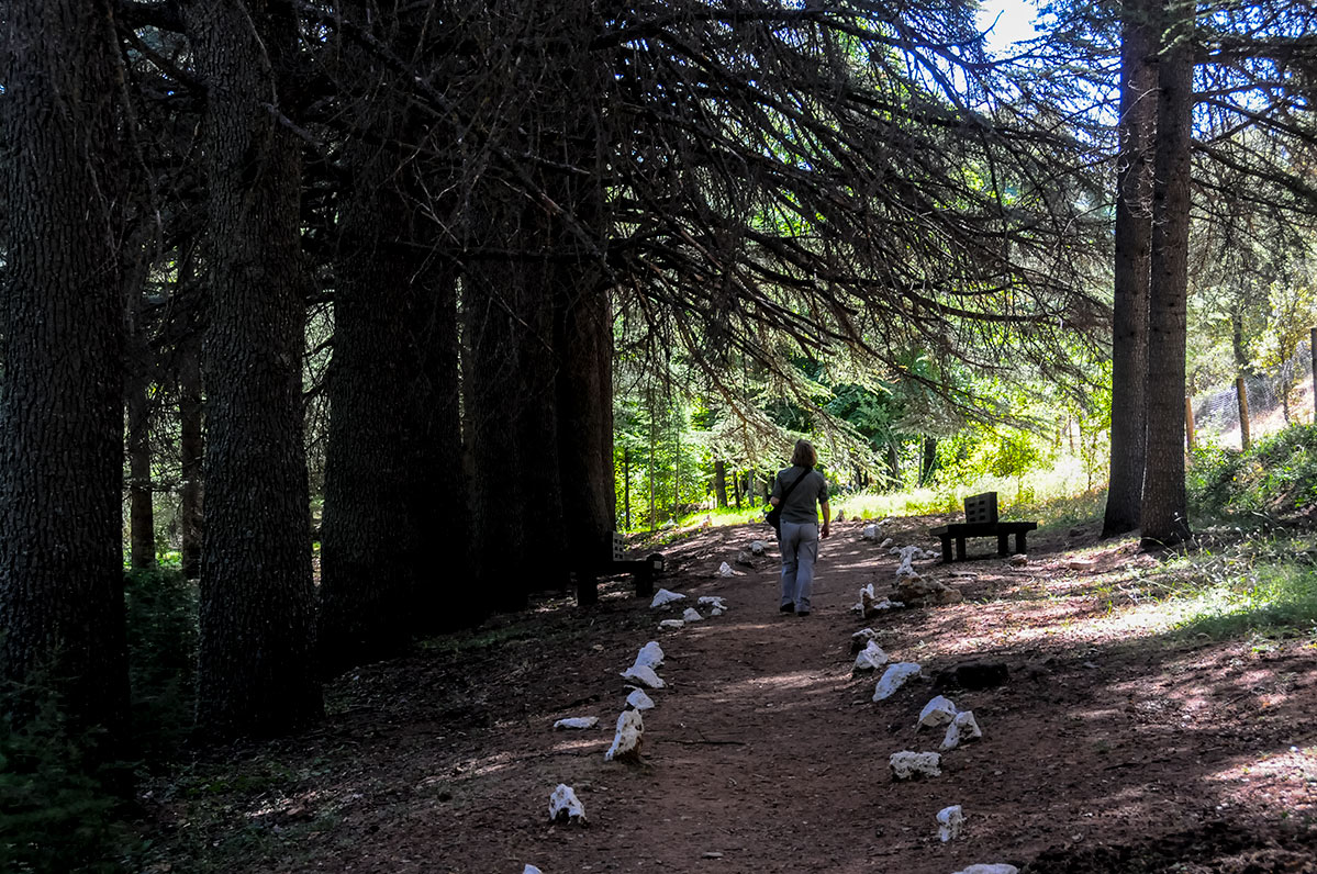 arboretum05