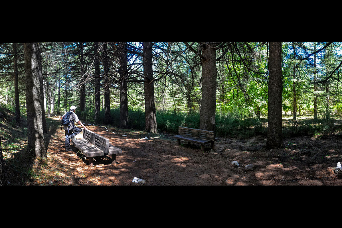 arboretum06