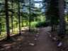 arboretum01
