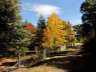 arboretum04