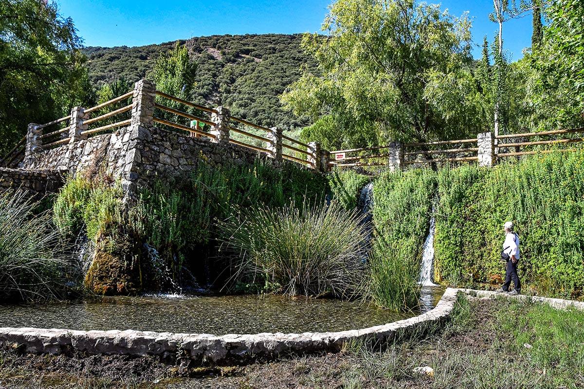 Arbuniel-nacimiento-03