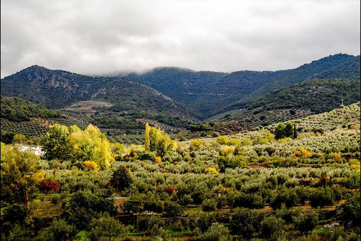Valle del Frontil * Foto: Lisardo Domingo