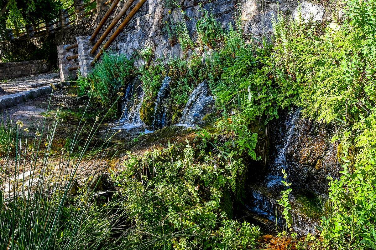 Arbuniel-nacimiento-18