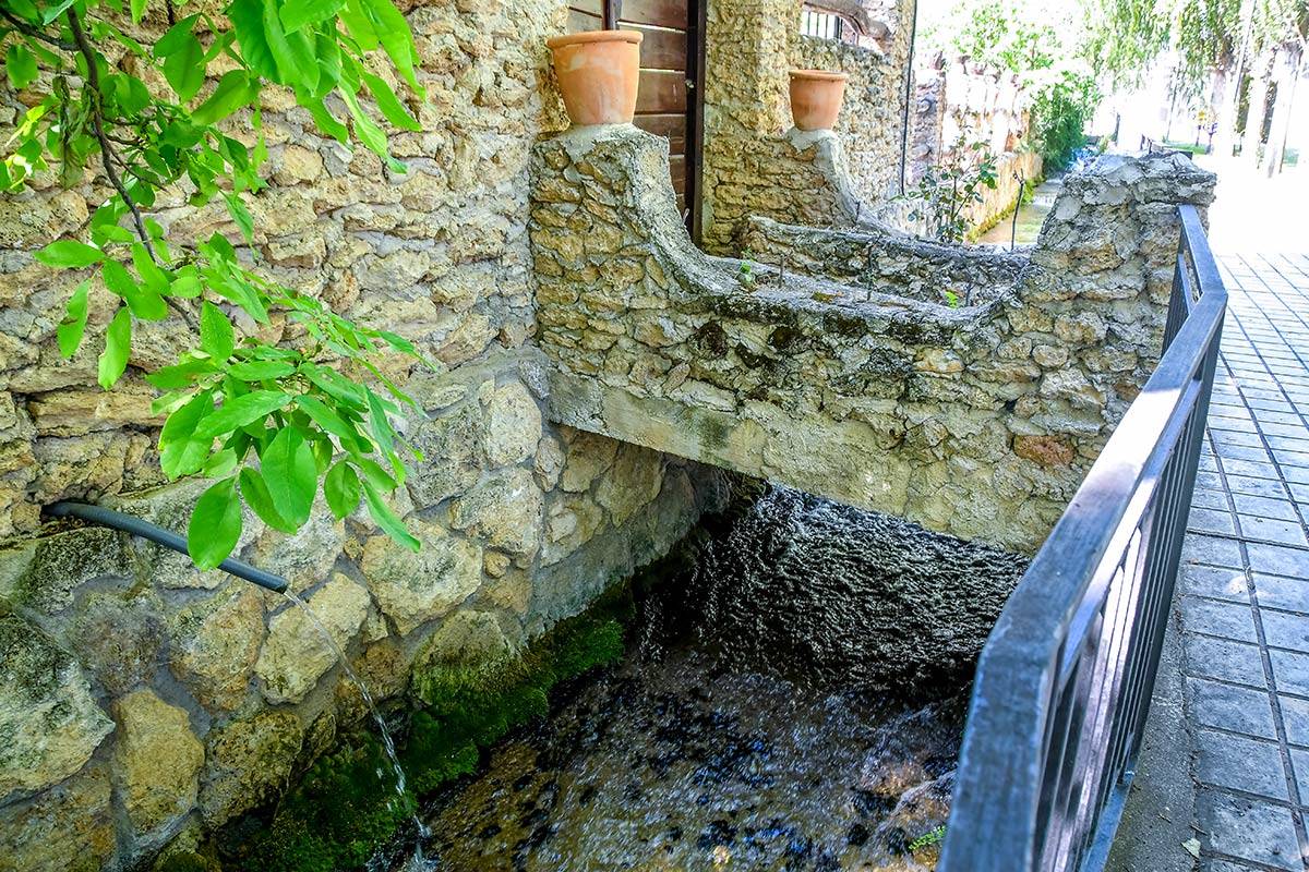 Arbuniel-nacimiento-19