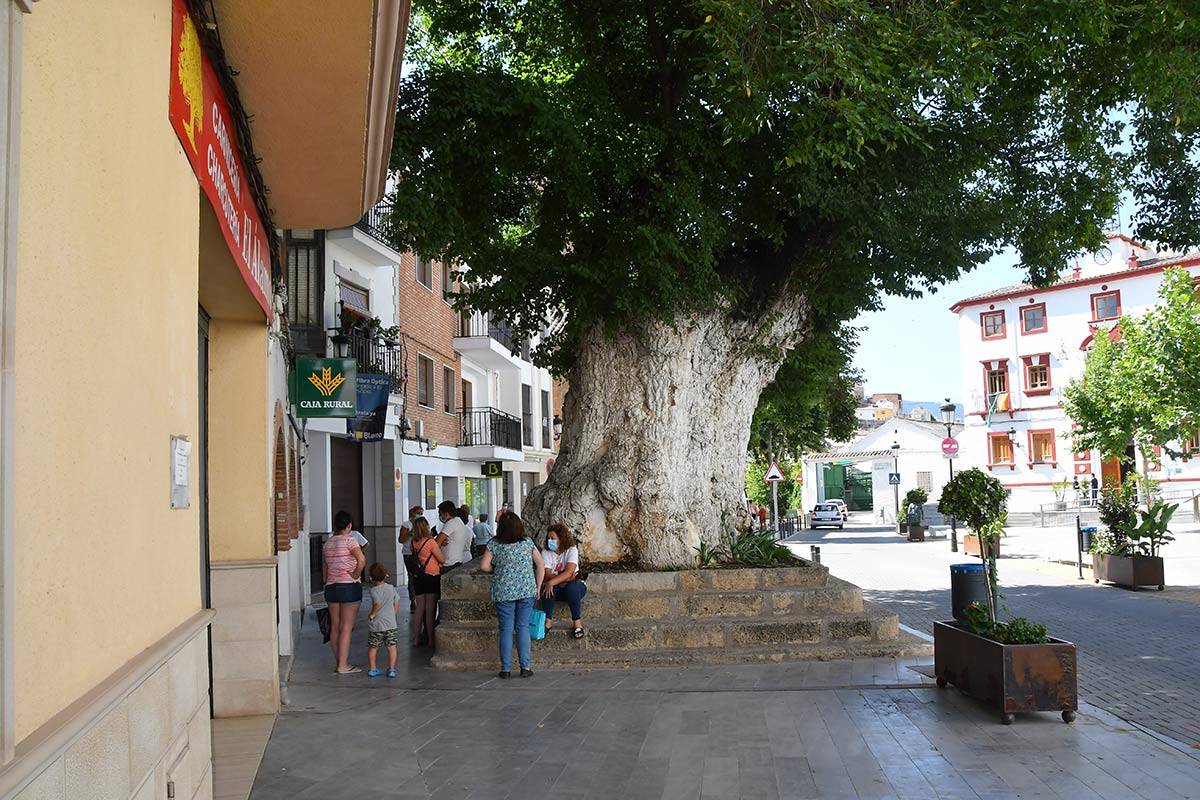 Cambil-04