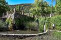 Arbuniel-nacimiento-03