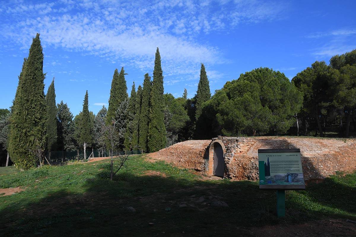 avellano-llano-perdiz-JEG-13