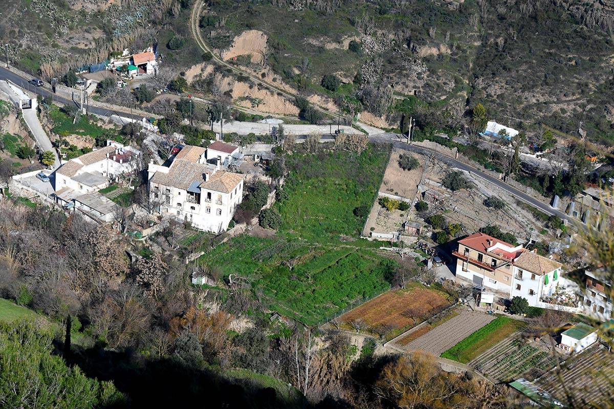 avellano-llano-perdiz-JEG-14