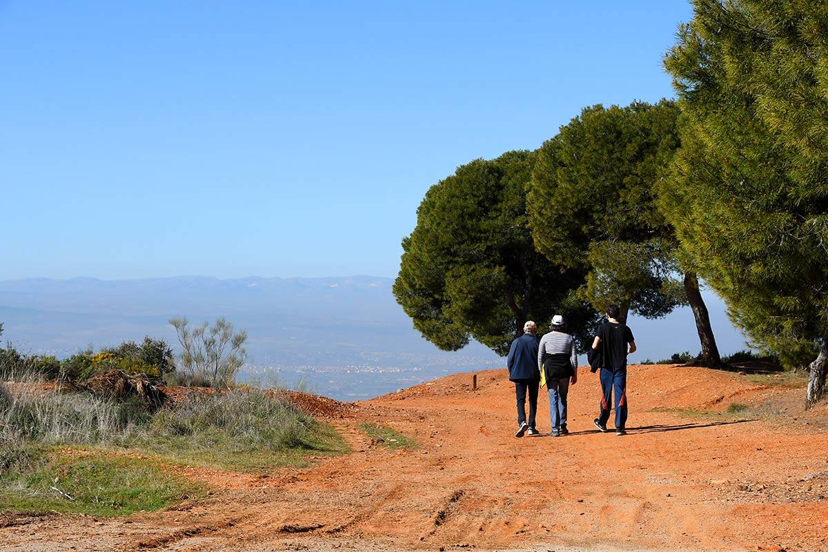 avellano-llano-perdiz-JEG-24