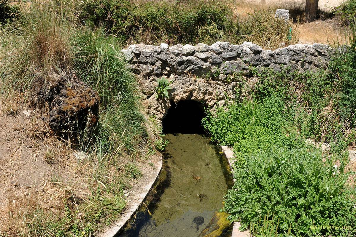 aynadamar2