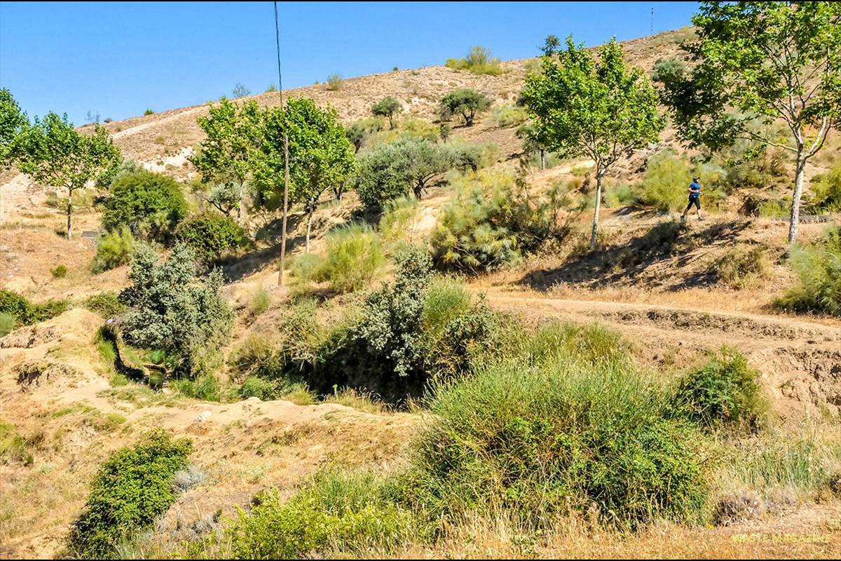 aynadamar-acequia-56