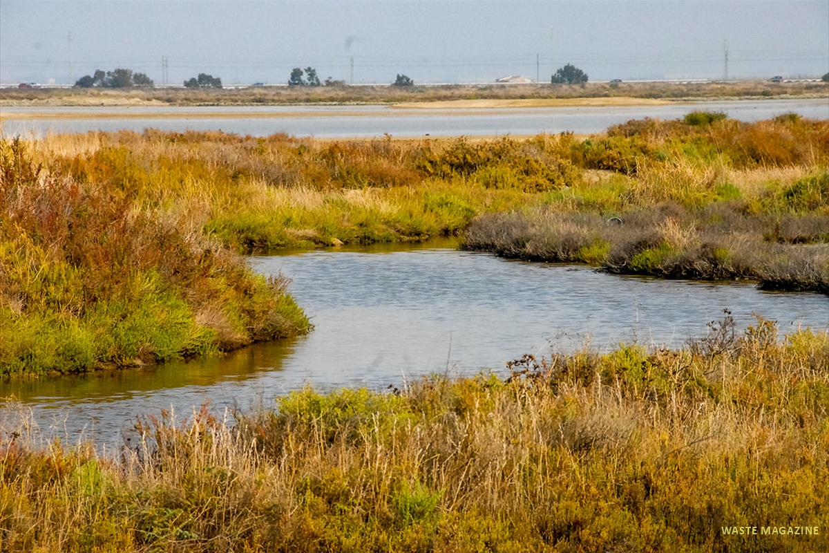 bahiadecadiz234
