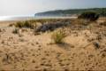 Playa Barbate-La Breña