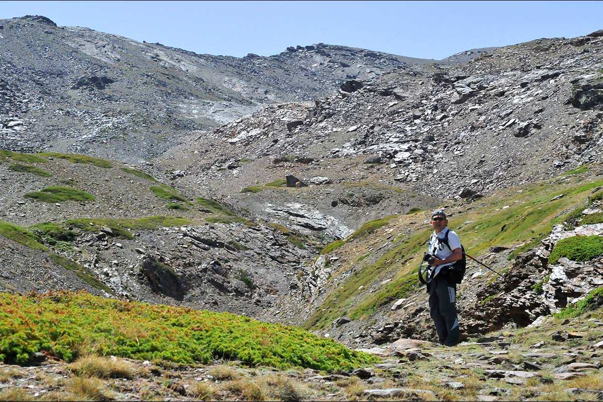Camino del Biorreguil