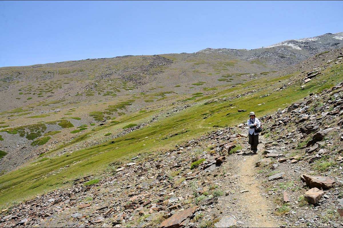 Camino del borreguil