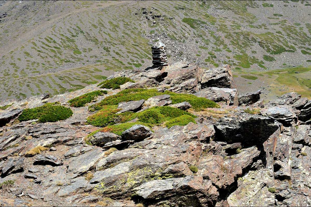 Camino del Borreguil