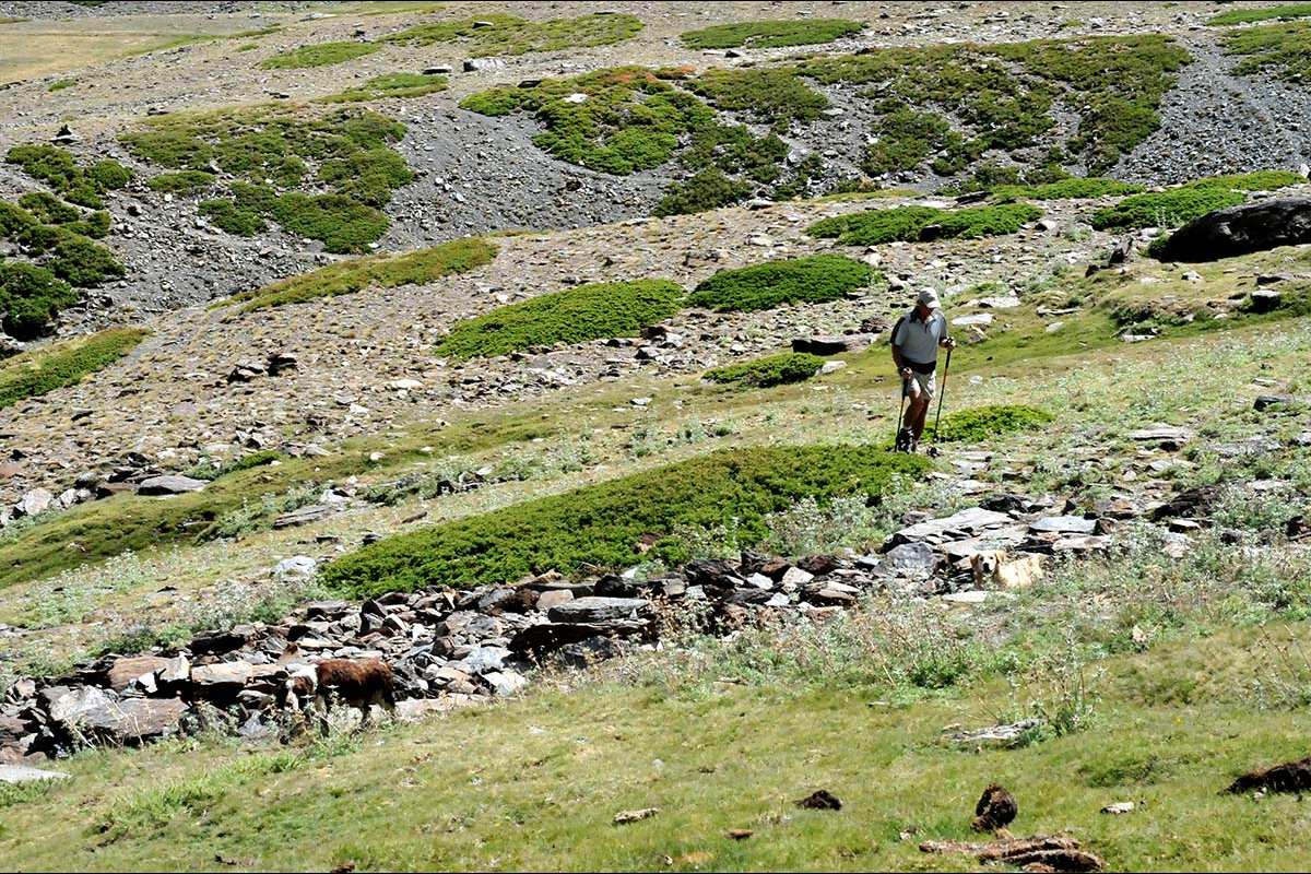 Camino del  Borreguil